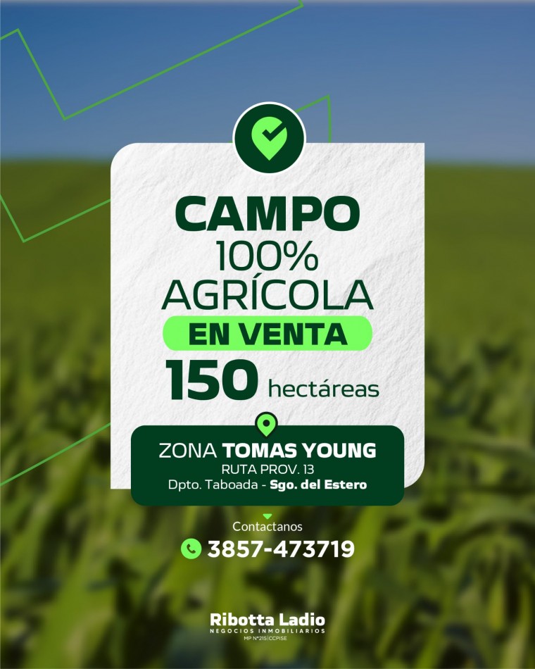 150 HAS CAMPO 100% AGRICOLA 