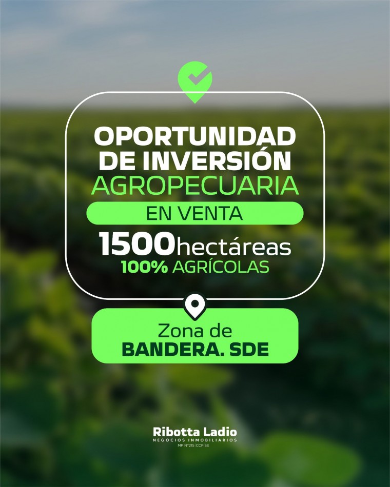 1500 HECTAREQAS 100% AGRICOLAS - ZONA BANDERA SGO DEL ESTERO
