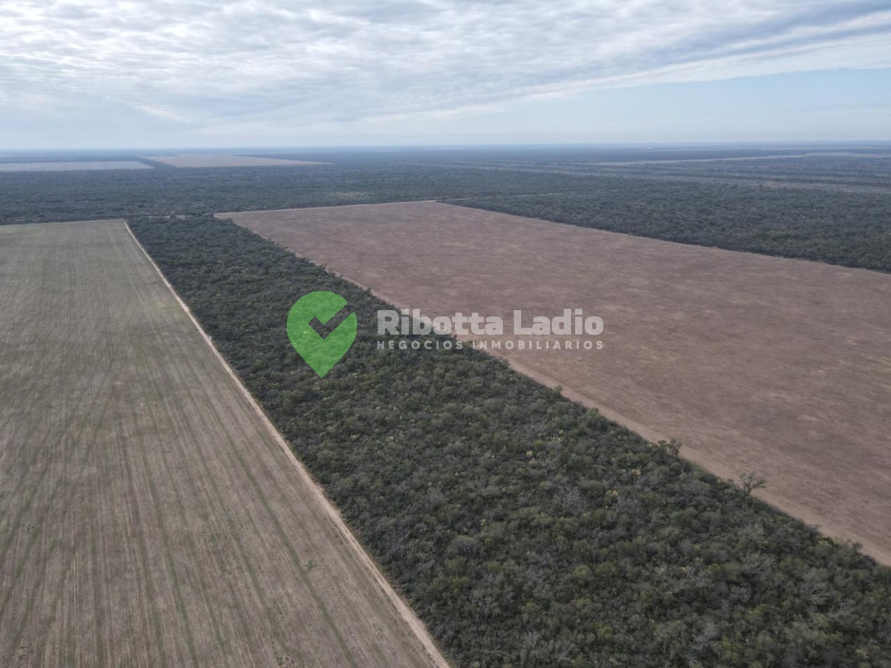 Campo Agricola 520 Has