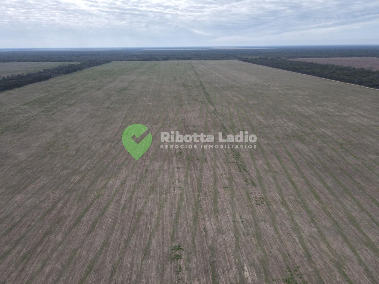Campo Agricola 520 Has