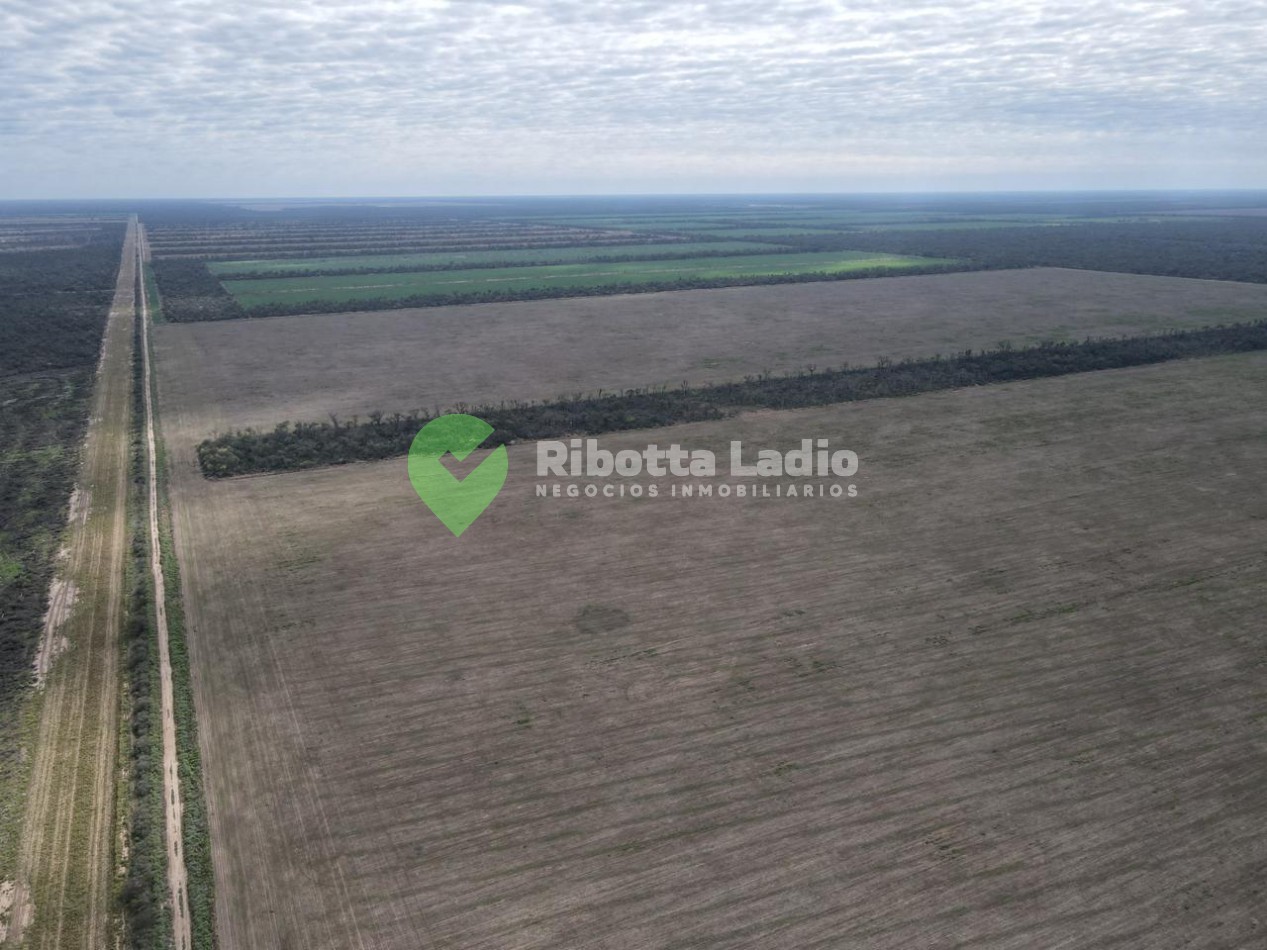 Campo Agricola 520 Has