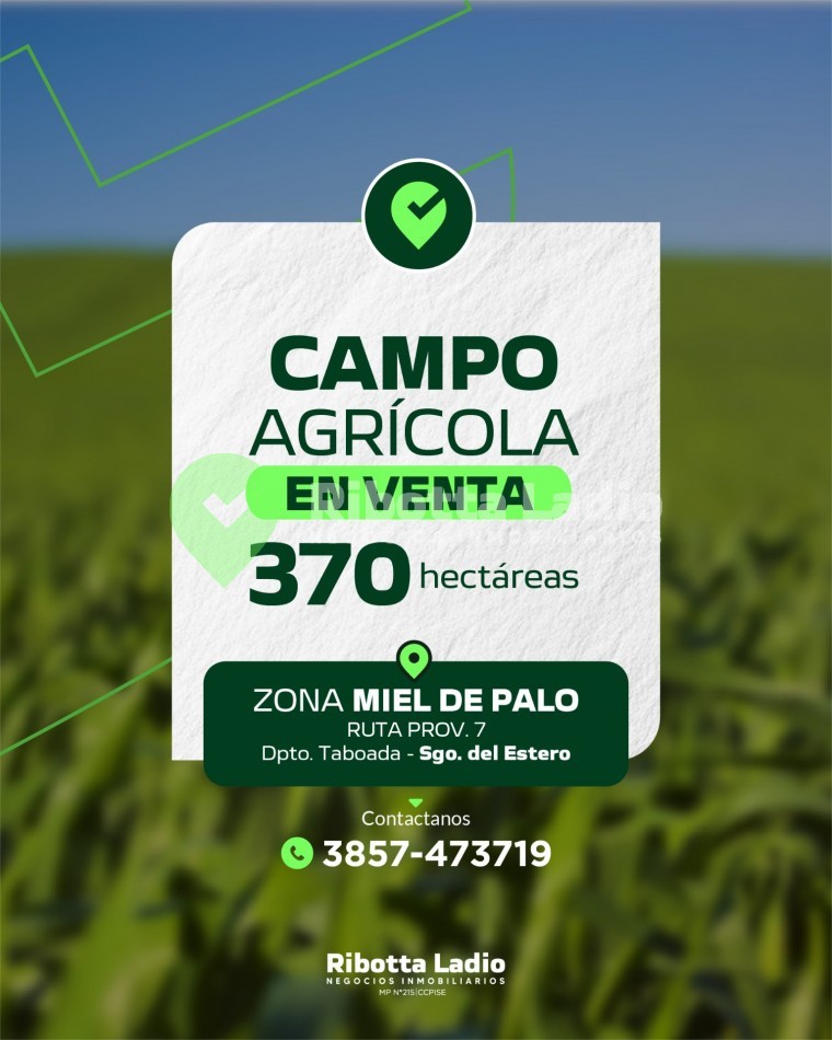 CAMPO AGRICOLA - 370 HAS 