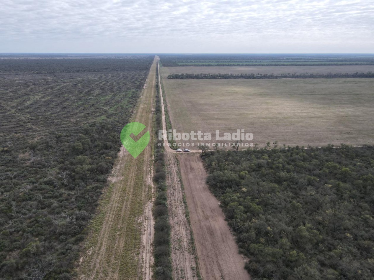 Campo Agricola 520 Has