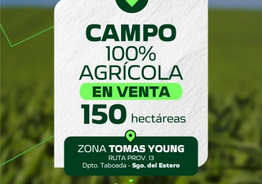 150 HAS CAMPO 100% AGRICOLA 