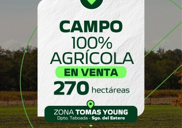 270 HECTAREAS AGRICOLAS TOMAS YOUG