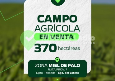 CAMPO AGRICOLA - 370 HAS 