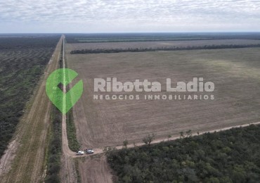 Campo Agricola 520 Has